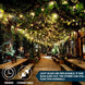 100-Count Clear Mini Christmas String Lights, Green Wire