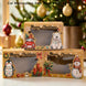 Christmas Cookie Gift Boxes with Window, Set of 6