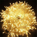 100-Count Multi-Color LED Christmas String Lights, Green Wire, Indoor/Outdoor