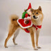 Santa Rider Christmas Dog Costume, Size M, Red Fleece Outfit with Santa Riding on the Back