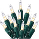 100-Count Clear Mini Christmas String Lights, Green Wire