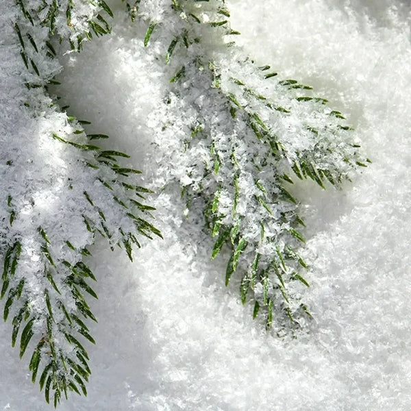 Artificial Snow Powder for Christmas Decor & Crafts, 50g